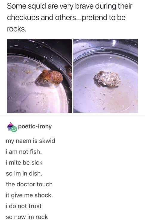 1722804059080.png