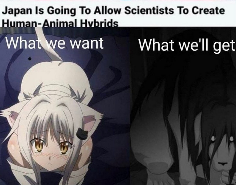 1723065819457.png