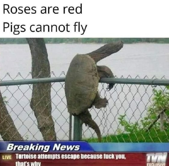 1723666997726.png