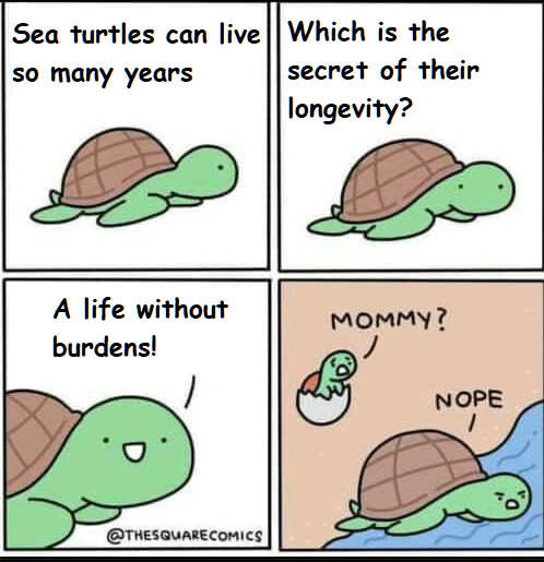1723842444209.png