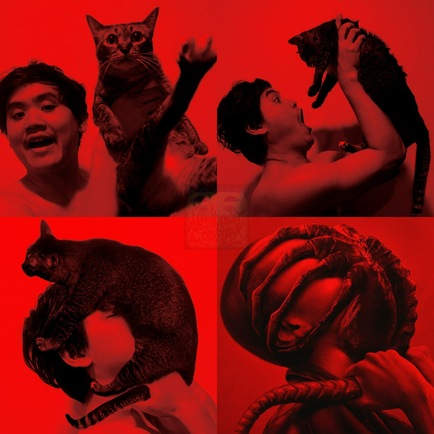 1723968028596.png