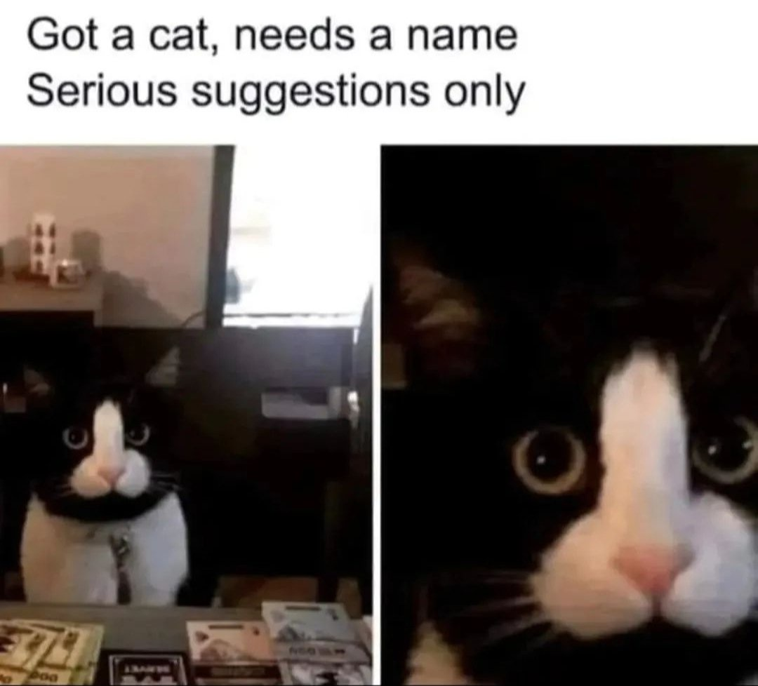 1724005287860.png