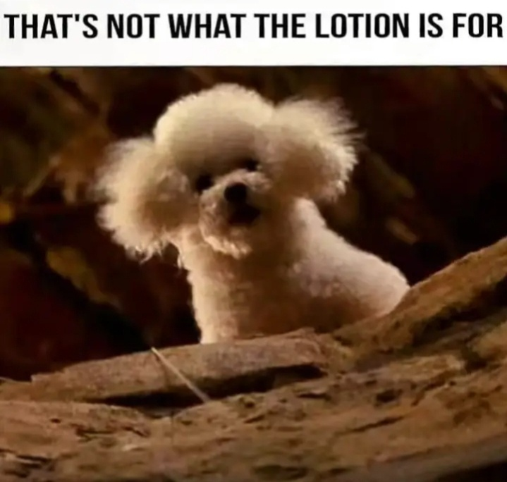 1725099158107.png