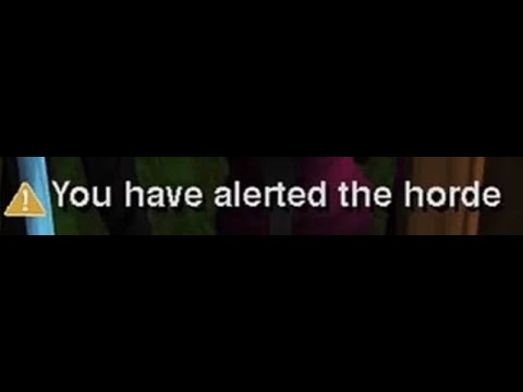 1725591155139.jpeg