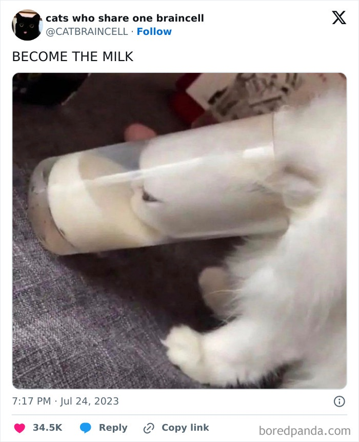1725906714587.png