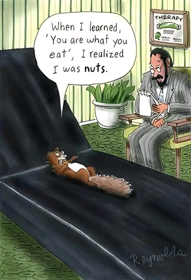 1726069378880.png