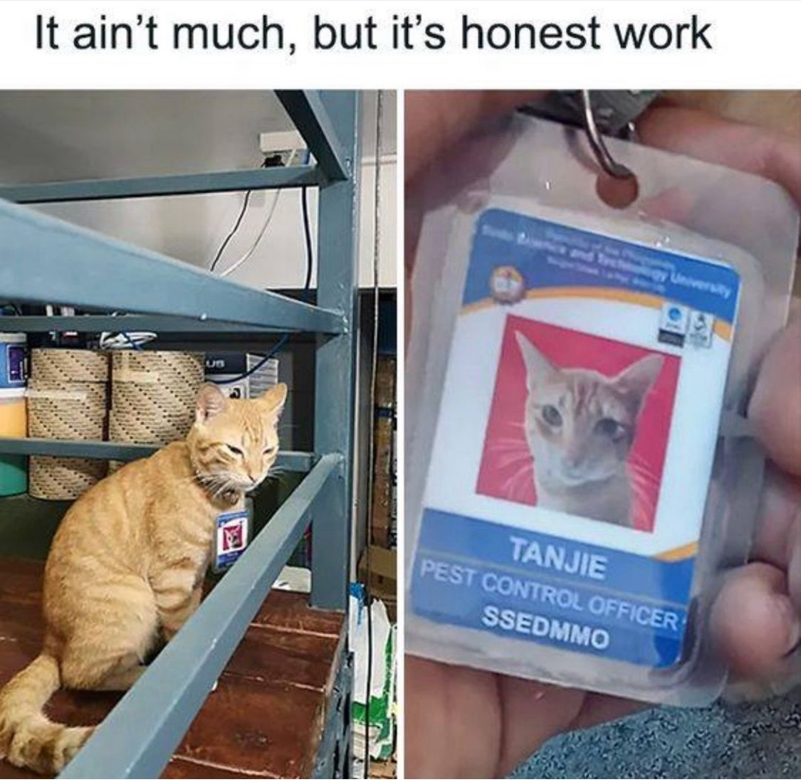 1726408093018.png