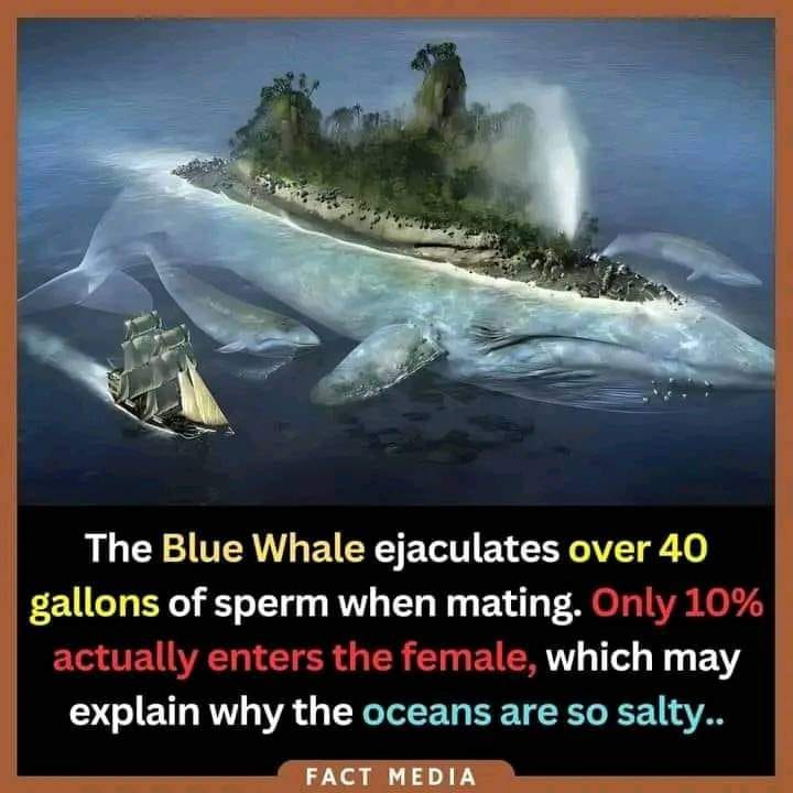 1727182473991.jpeg