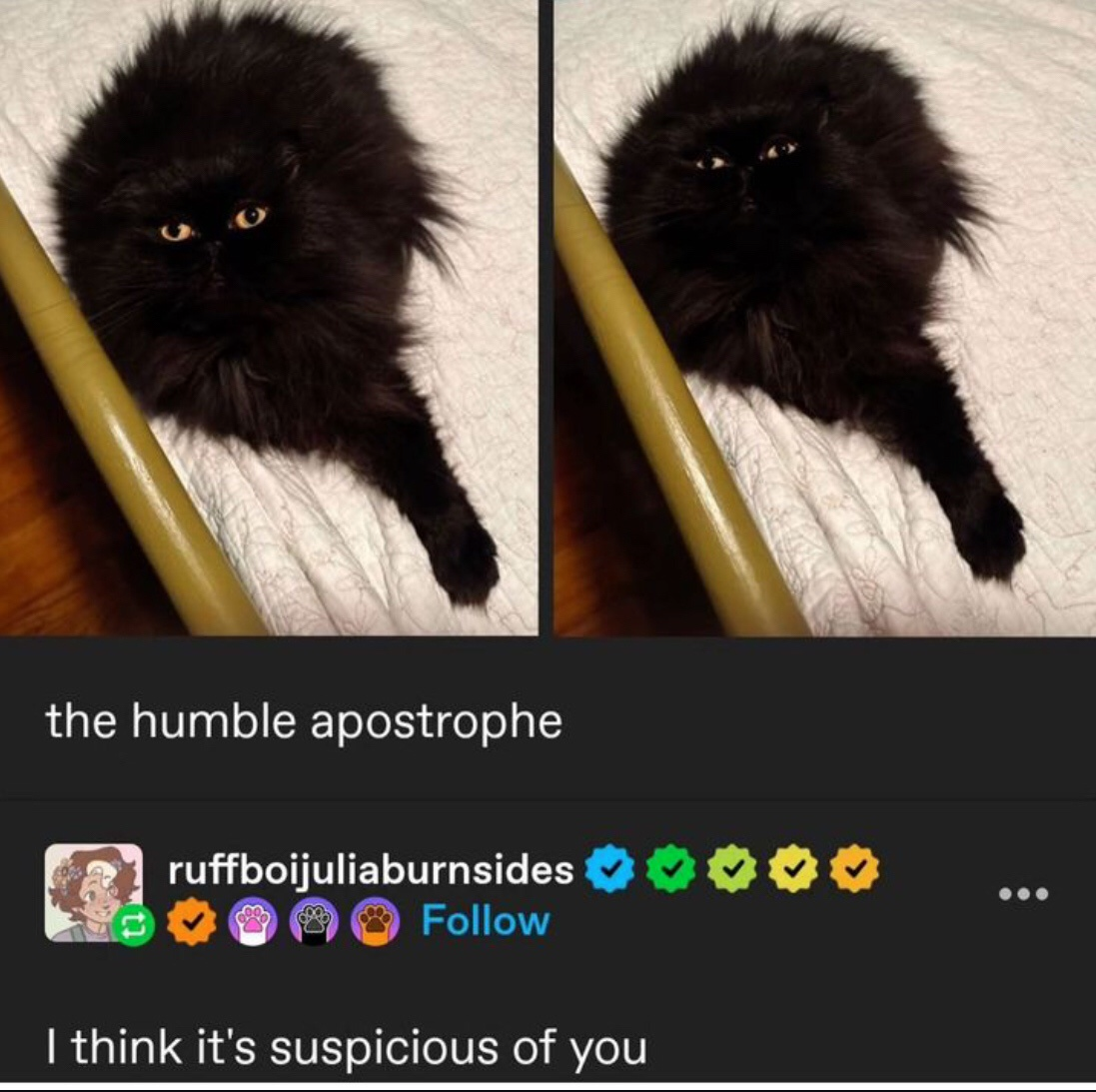 1727240799273.png