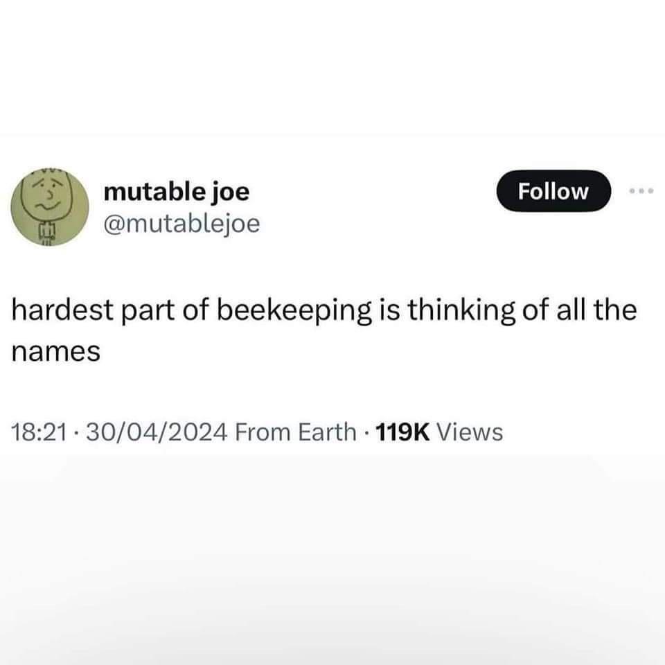 1727899153736.jpeg