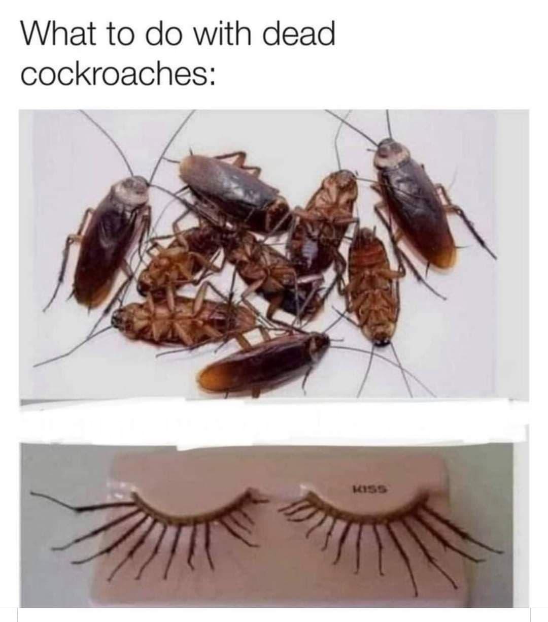 1727980504667.jpeg