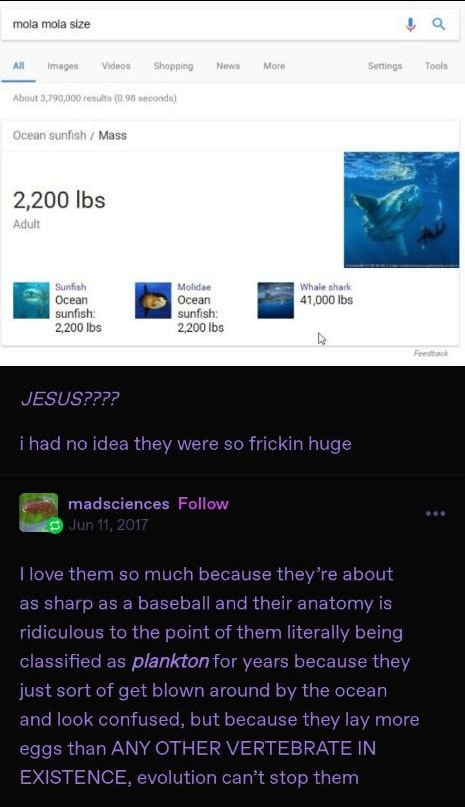 1728019170830.png