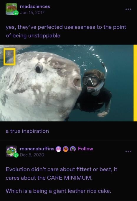 1728019253117.png