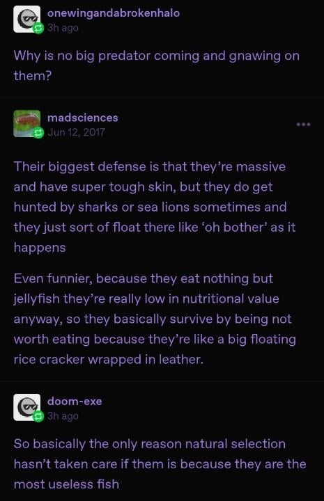 1728019309729.png