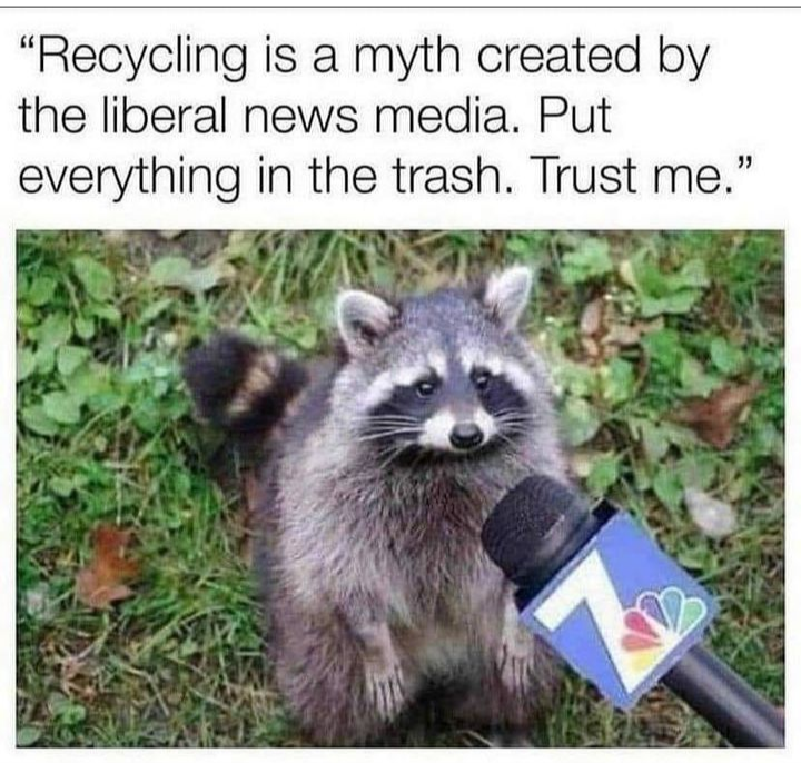 1728069198631.png