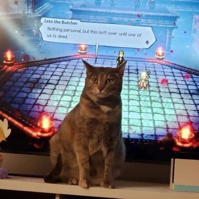 1728203889668.jpeg