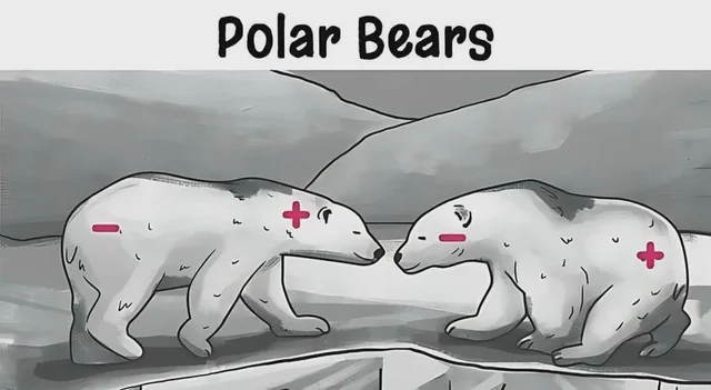 1728232726867.png