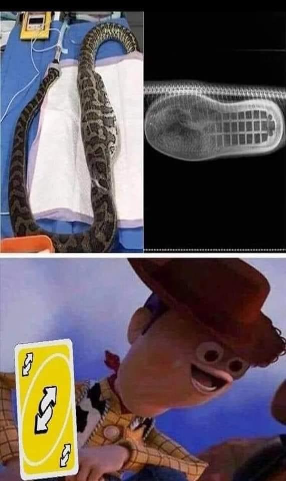 1728233824286.jpeg