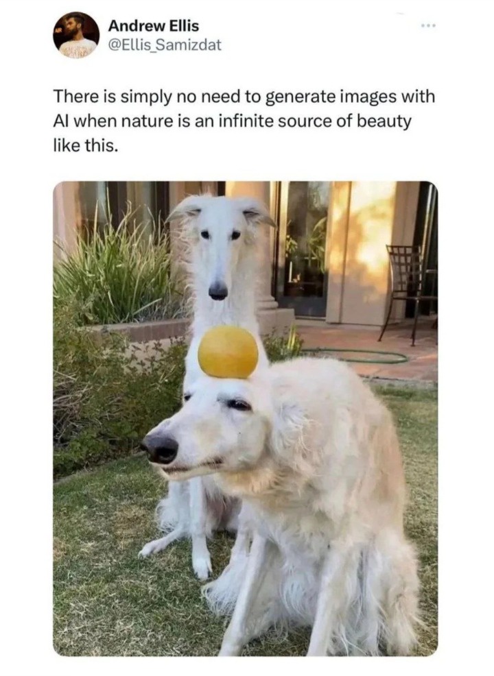 1728312377201.jpeg
