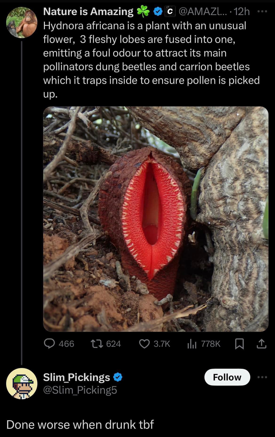 1728397016165.jpeg