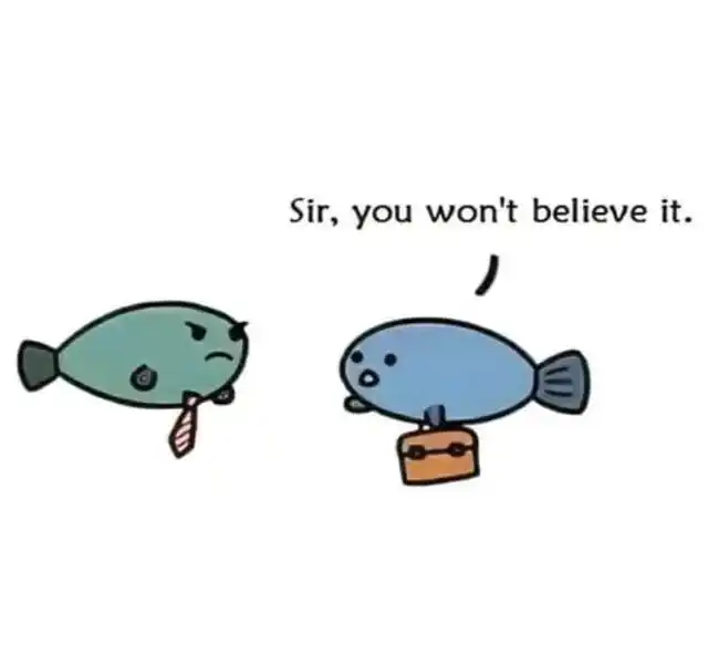 1728583493868.png