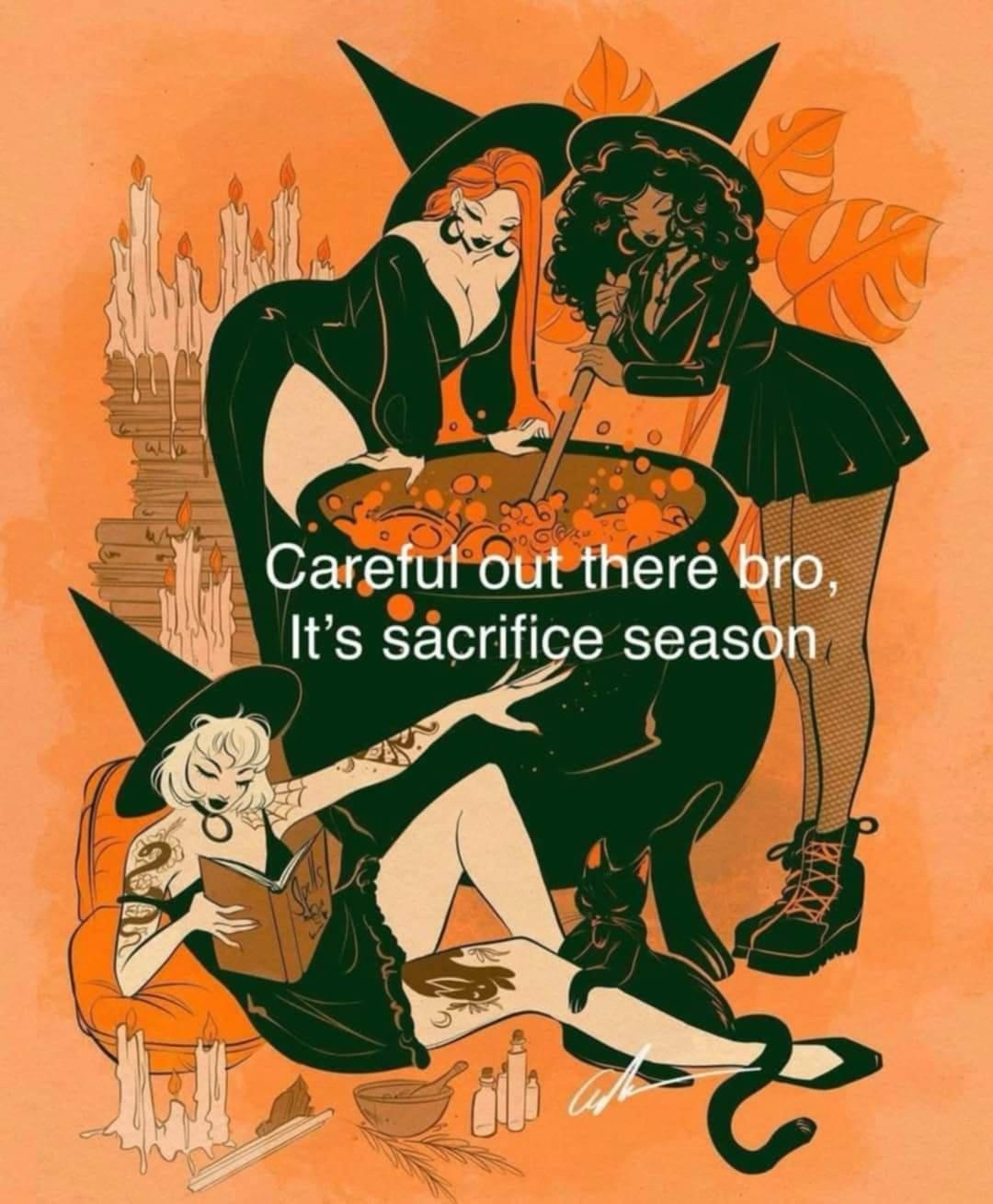 1728587827410.jpeg