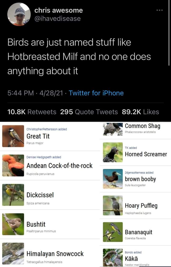 1728839511898.jpeg