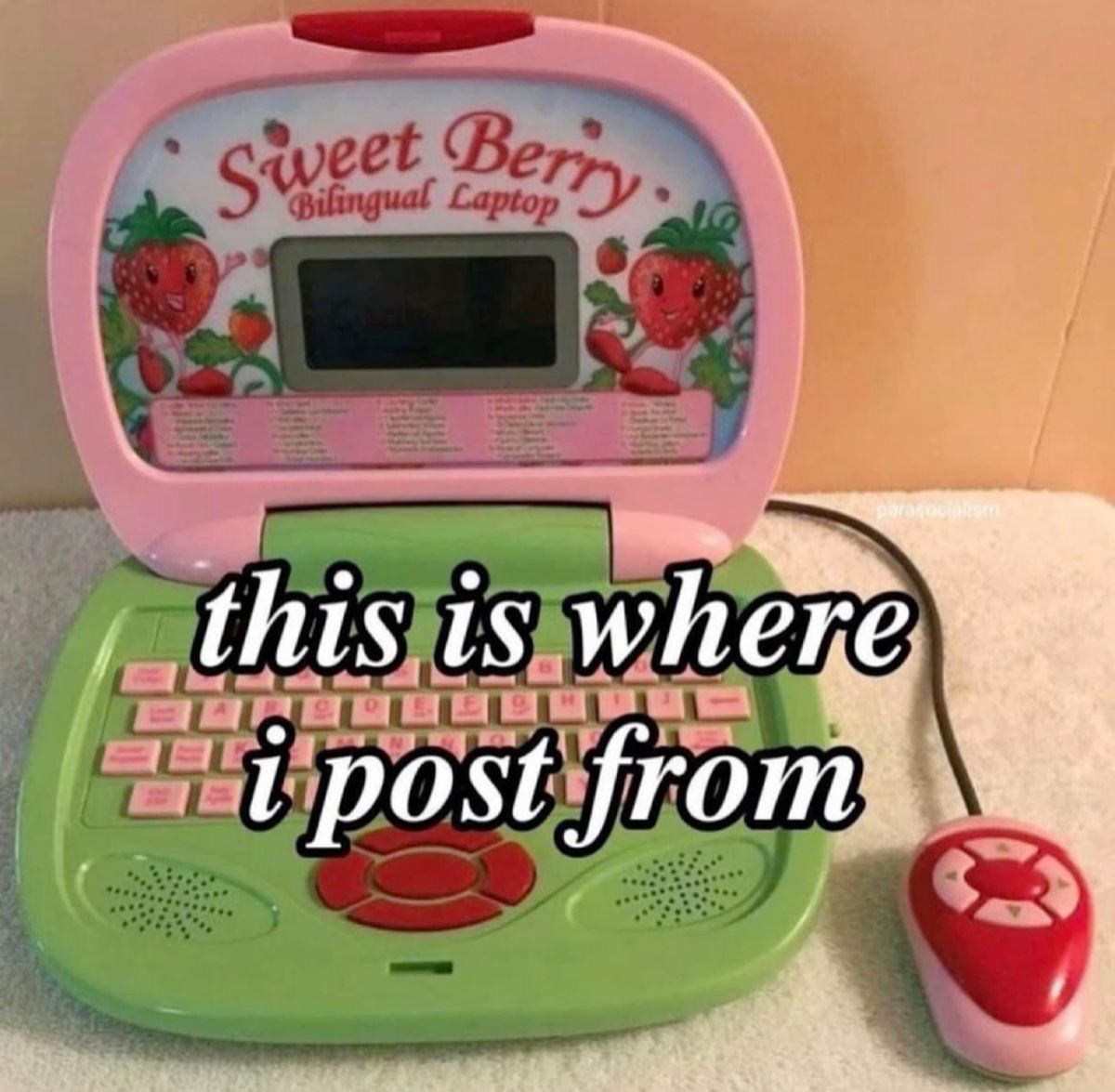 1728852193684.jpeg