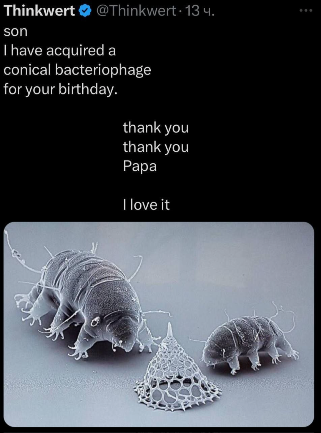 1728928038154.png