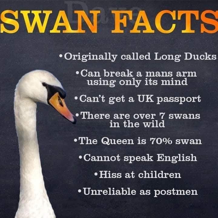 1729004512242.jpeg