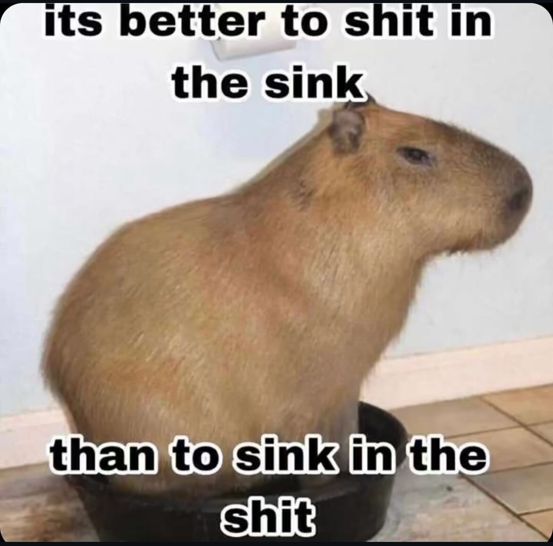 1729100611526.png