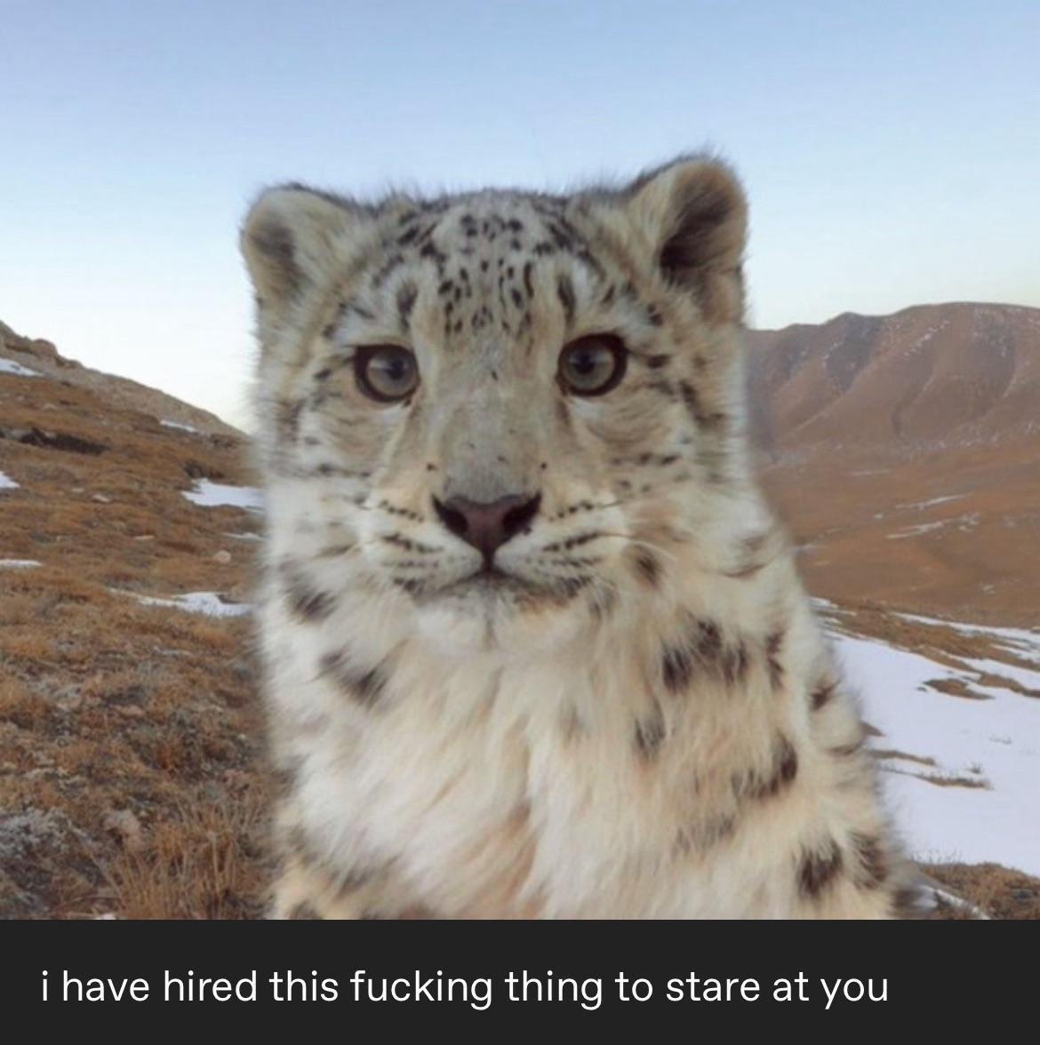 1729426605245.jpeg