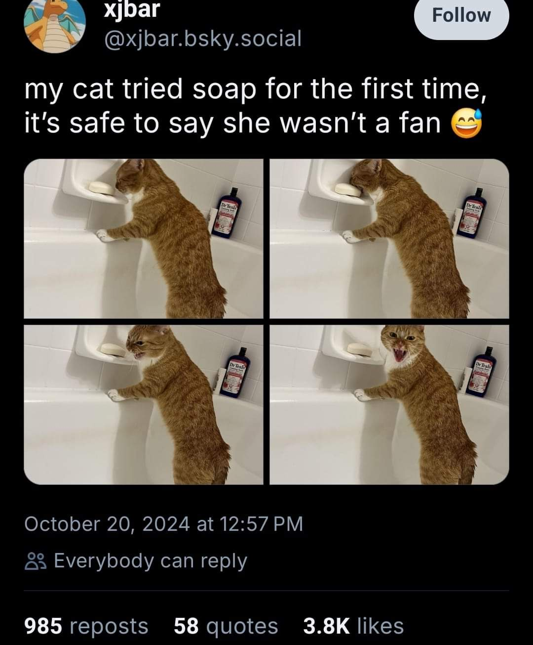 1729601258052.png