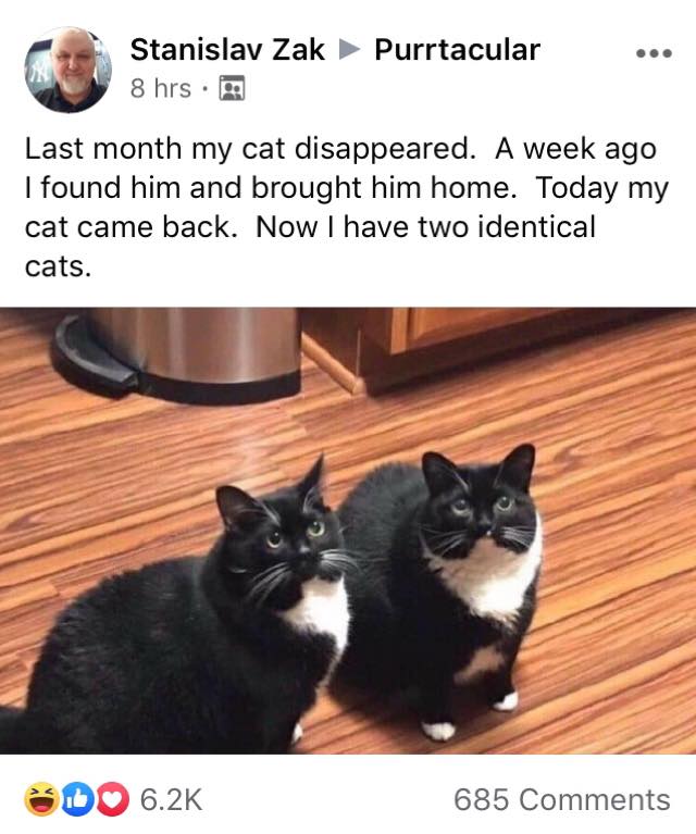 1729724693592.jpeg