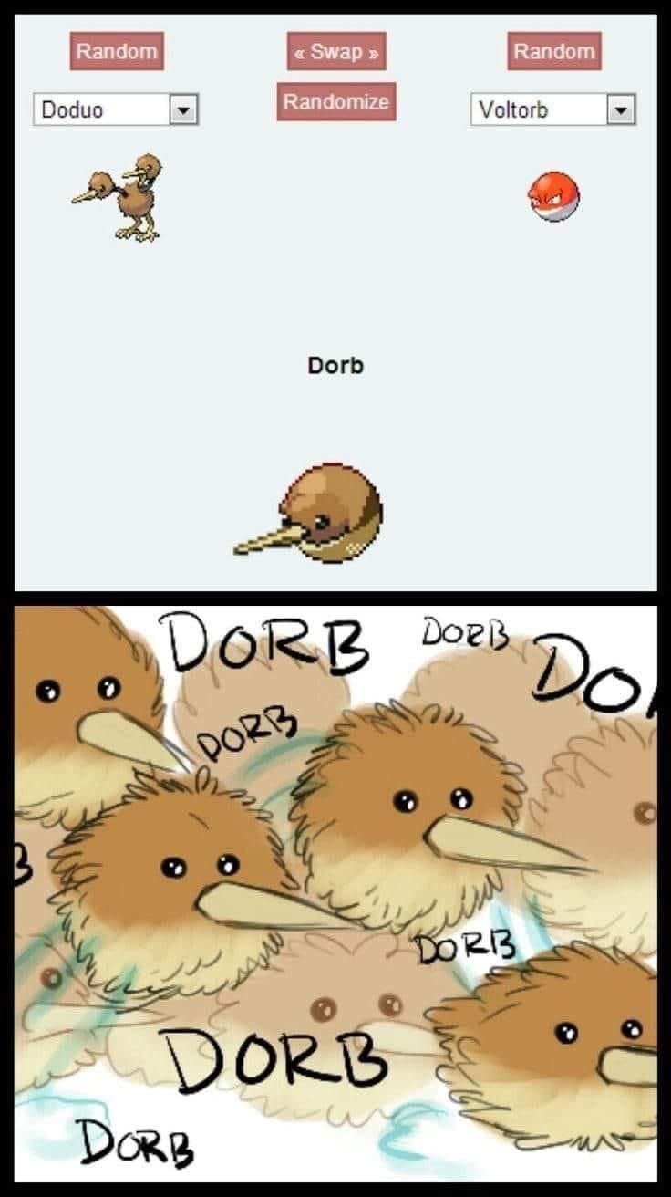 1729946693180.jpeg