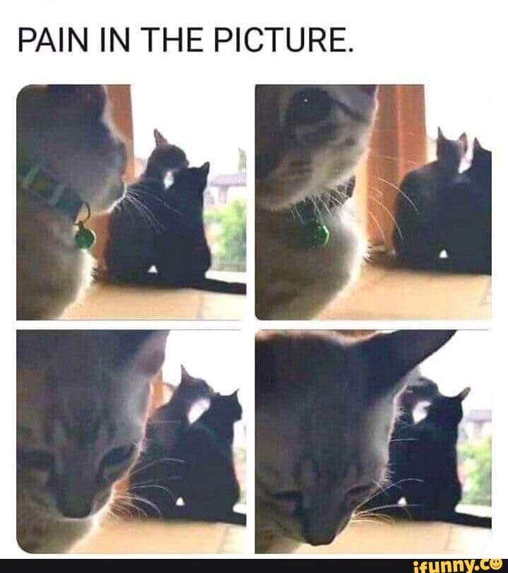 1730058617456.jpeg