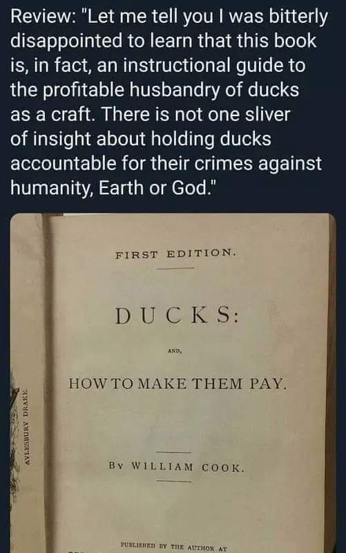1730273422992.png