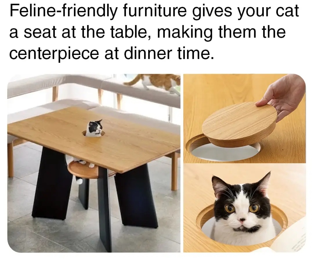 1730313638302.jpeg
