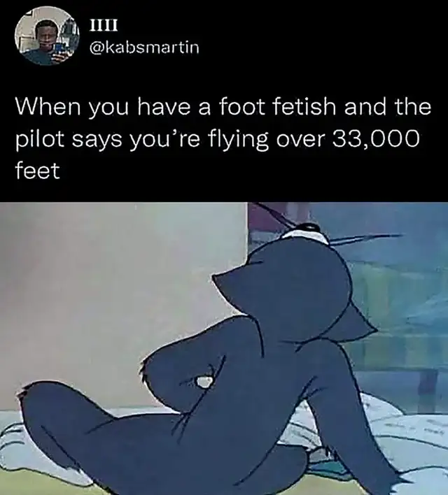1730337987666.png