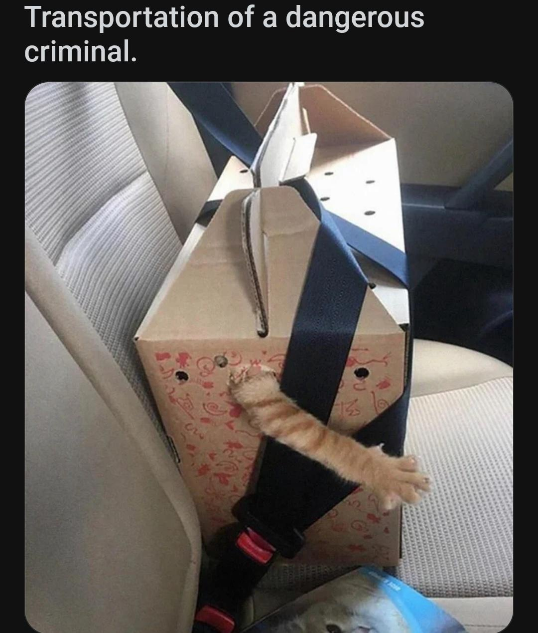 1730354869965.png
