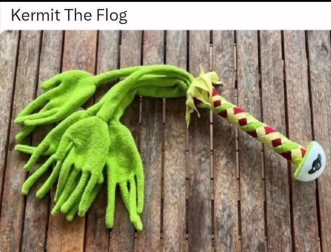 1730549063111.jpeg