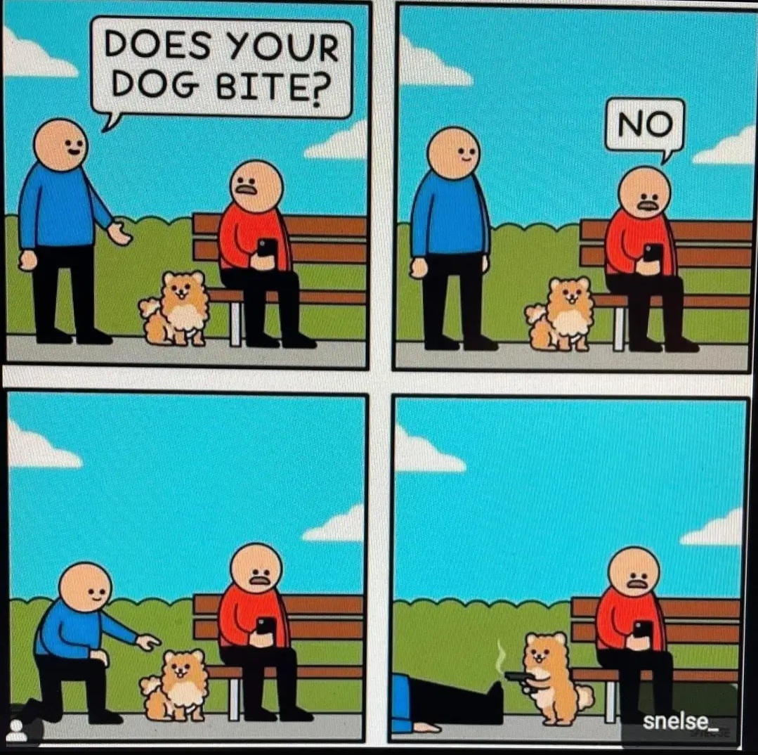 1730566632272.jpeg