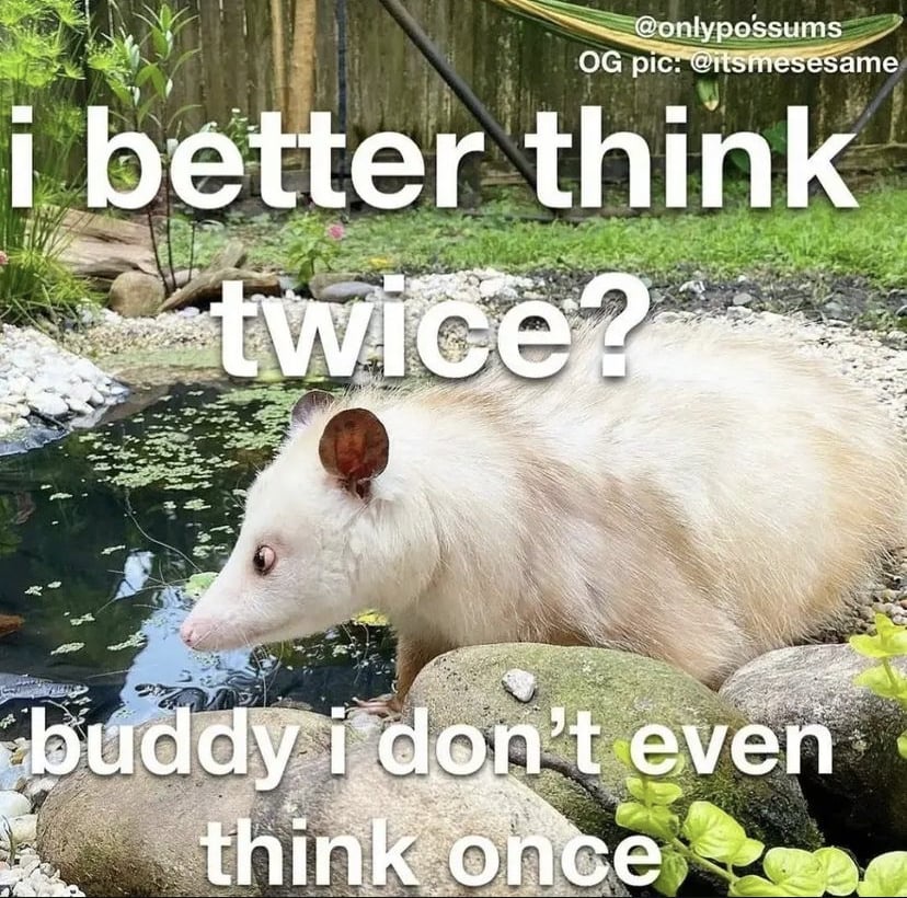 1730625520673.jpeg