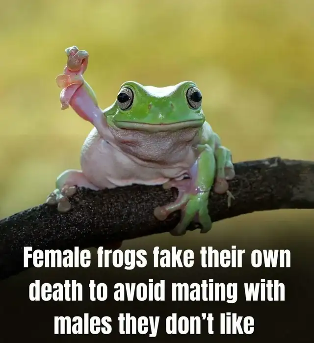 1730840654793.png