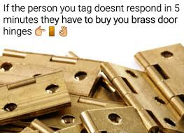 1731009986852.jpeg