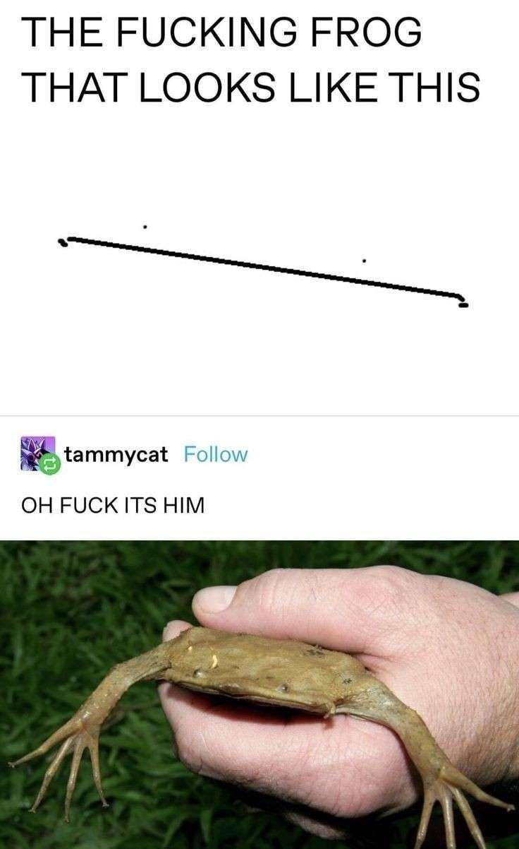 1731203552434.jpeg