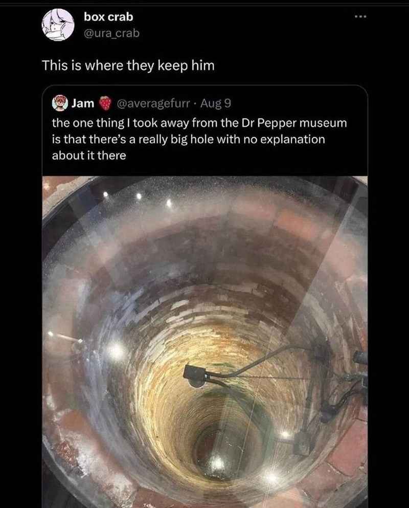 1731356836850.jpeg