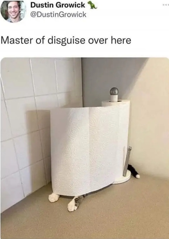1731623782363.jpeg