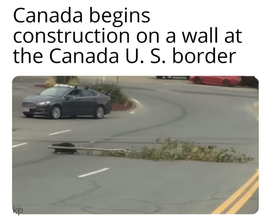 1731874847877.jpeg