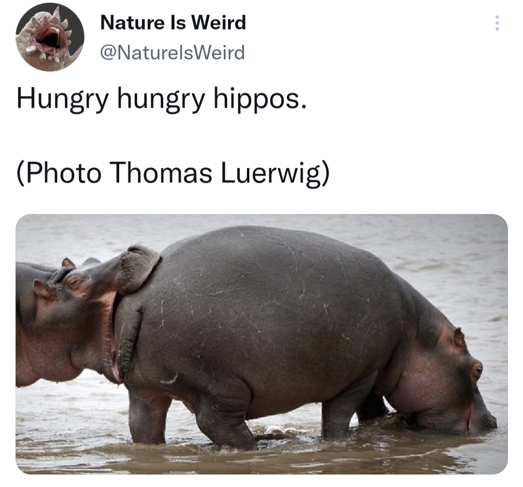 1732216947740.png